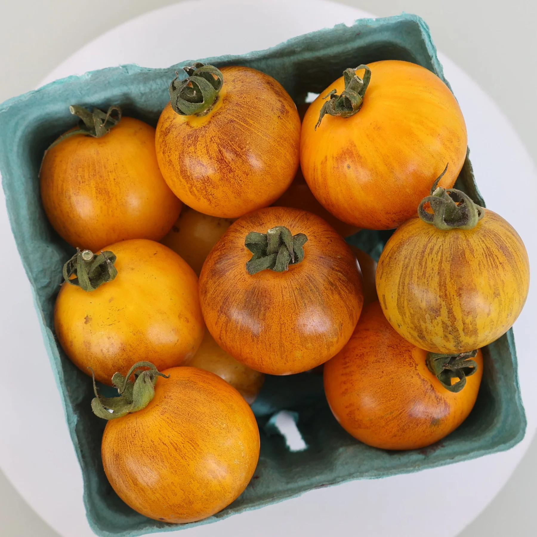 Gold Zebra Plum Tomato